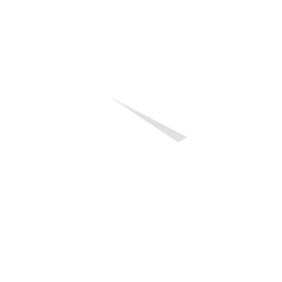 YT